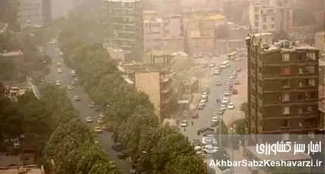گرد و غبار تابستان: بحران خاموش ۲۰ استان ایران را فرا گرفت!