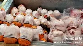 توزیع سراسری مرغ/ مرغ ایام ‌محرم تامین است