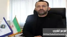 نهاده ارزان بود،اما اجازه ندادند وارد شود+ ویدئو