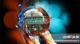 بانک کشاورزی: طوفان نوآوری در خدمات دیجیتال با نسخه ۳.۳.۱ اپلیکیشن «باران»!