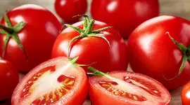 انتظار می رود گوجه فرنگی های مراکشی در نمایشگاه پاریس بدرخشند