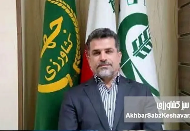 خط قرمز بر دیوارکشی‌های خودسرانه؛ از ابطال ممنوعیت مطلق تا مجازات‌های سنگین حبس