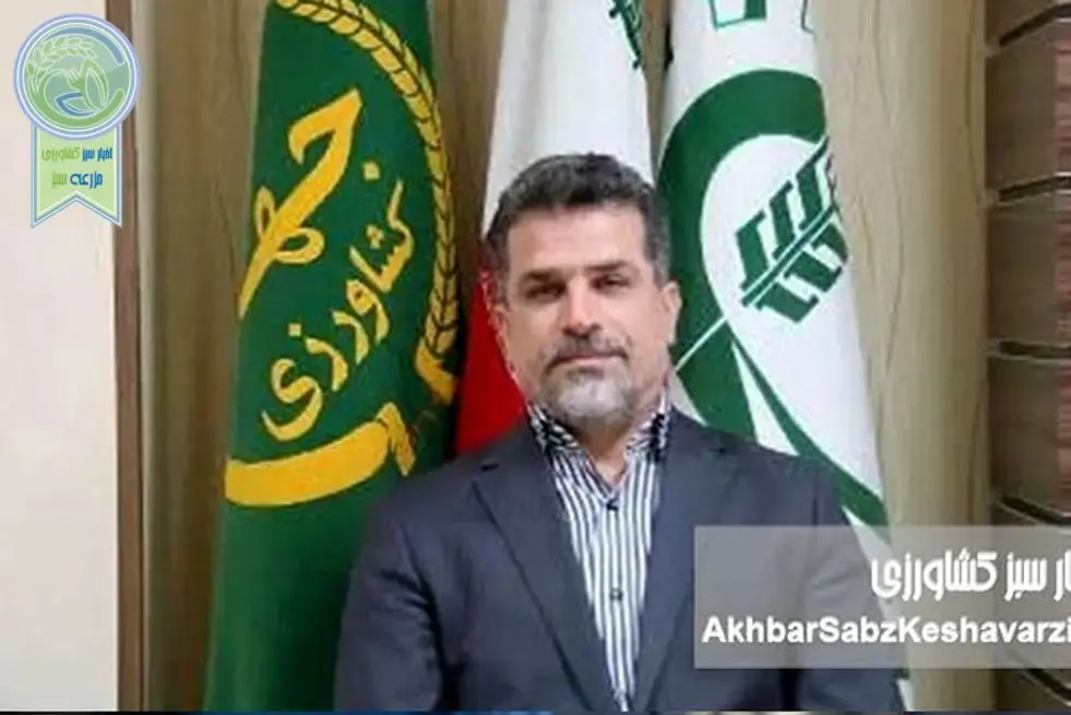 خط قرمز بر دیوارکشی‌های خودسرانه؛ از ابطال ممنوعیت مطلق تا مجازات‌های سنگین حبس