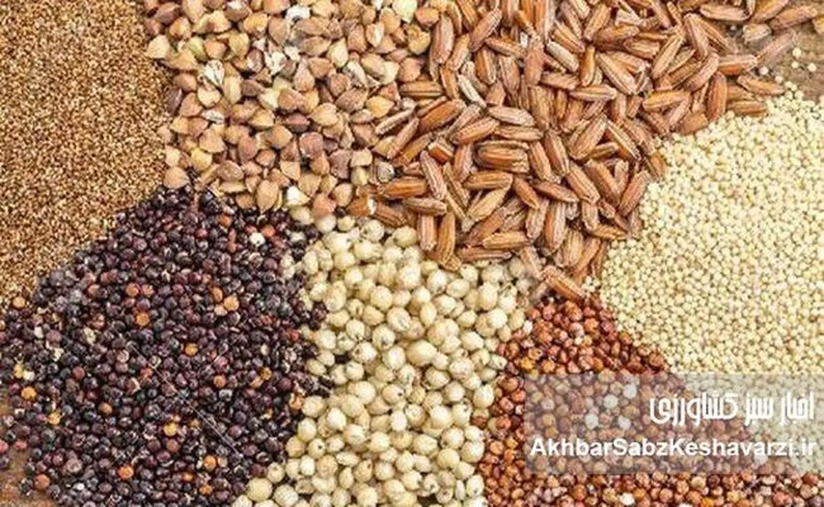 گروه مدلل در مسیر تهدید امنیت غذایی