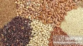 گروه مدلل در مسیر تهدید امنیت غذایی