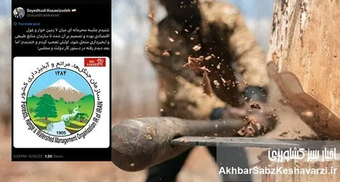توئیت نگران کننده کسایی‌زاده و لابی 7 زمین‌خوار درباره انحلال سازمان منابع طبیعی