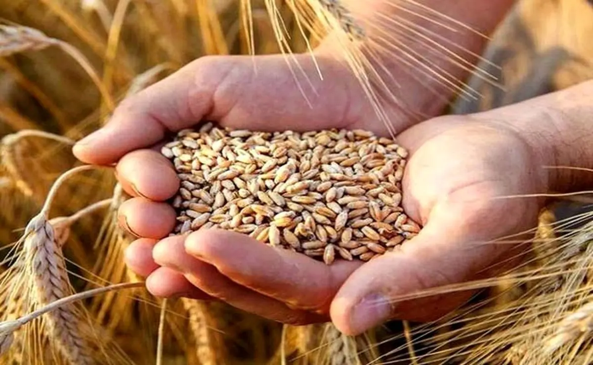 مهلت پرداخت اقساط بیمه کشاورزی افزایش یافت