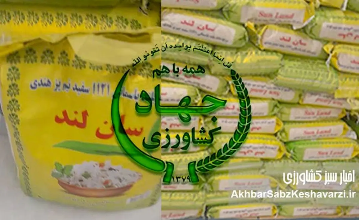 فساد برنج ۱۱۲۱: مینی دبش ۱۵ هزار میلیارد تومانی در وزرات کشاورزی دولت چهاردهم!