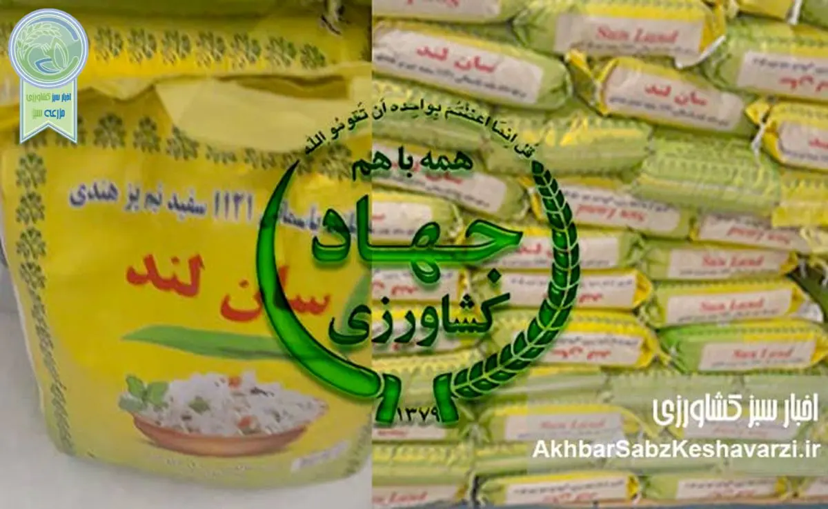 مدیر محکوم، حکم قطعی، اما همچنان در راس
