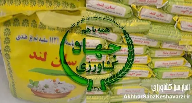 مدیر محکوم، حکم قطعی، اما همچنان در راس