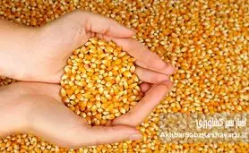 گوشت و مرغ در تله سقف‌های ارزی