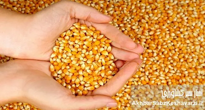 گوشت و مرغ در تله سقف‌های ارزی