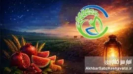 یلدایی به بلندای صبر زمین؛ «اخبار سبز» در کنار کشاورزان ایران