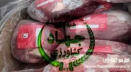 هزینه کردن برای واردات گوشت و تضعیف تولید داخلی حرام است؟