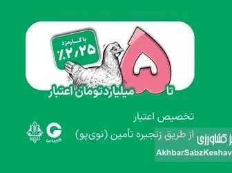 تامین مالی زنجیره مرغ با اعتبار ۵ میلیاردی بانک کشاورزی