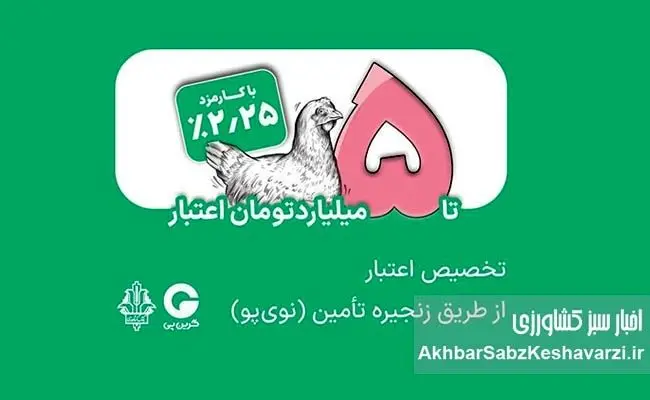 تامین مالی زنجیره مرغ با اعتبار ۵ میلیاردی بانک کشاورزی