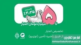 تامین مالی زنجیره مرغ با اعتبار ۵ میلیاردی بانک کشاورزی