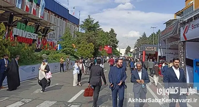 ایران اکسپو 2025؛ فقط 20 درصد بازدیدکنندگان موضوع نمایشگاه را رعایت می‌کنند